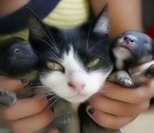 ����� ������ �����